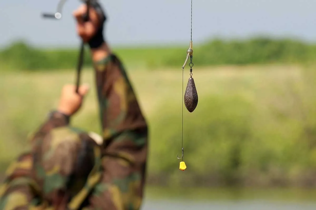 Карпфишинг для начинающих в 2026 году: С чего начать? Советы от FishermanPro