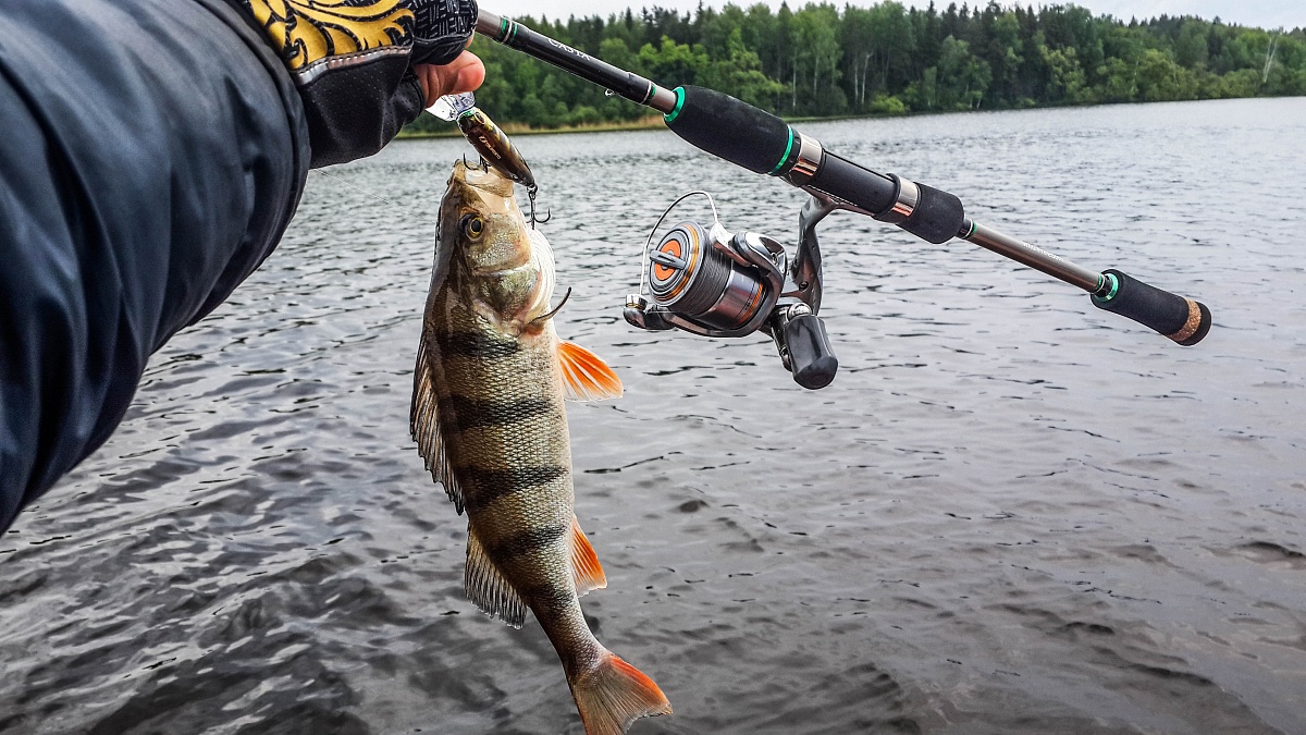 Ловля на фидер в 2025-2026 году: Точность и результат на дальней дистанции от FishermanPro