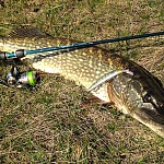 Ловля щуки в 2026 году: Тактика...