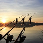 Рыбалка для начинающих: Полное руководство к...