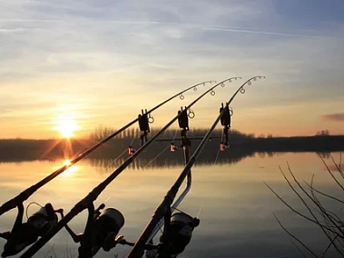 Рыбалка для начинающих: Полное руководство к первому улову