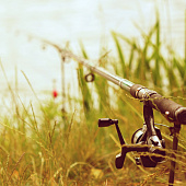 Бесплатная доставка от 5000 рублей! Бесплатная доставка от 5000 рублей!