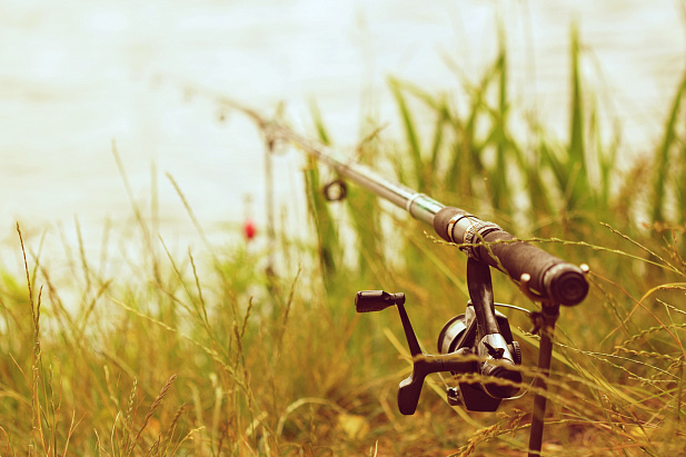 Бесплатная доставка от 5000 рублей!