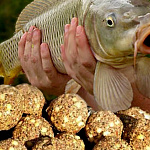 Прикормка для рыбалки своими руками в...