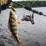 Выбор первого спиннинга в 2026 го...