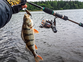 Выбор первого спиннинга в 2026 году: Полное руководство от FishermanPro Выбор первого спиннинга в 2026 году: Полное руководство от FishermanPro